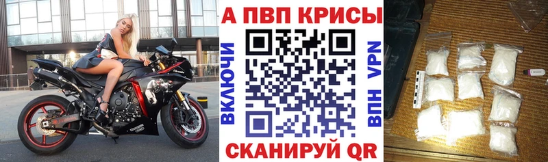 где продают наркотики Дигора OMG ссылки Alpha PVP крисы CK