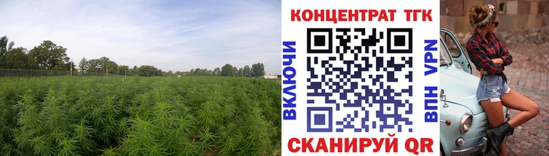ТГК концентрат Дигора