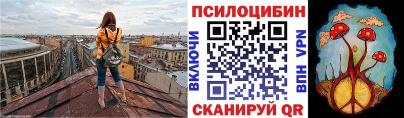 как найти наркотики  Дигора  Псилоцибиновые грибы Cubensis 